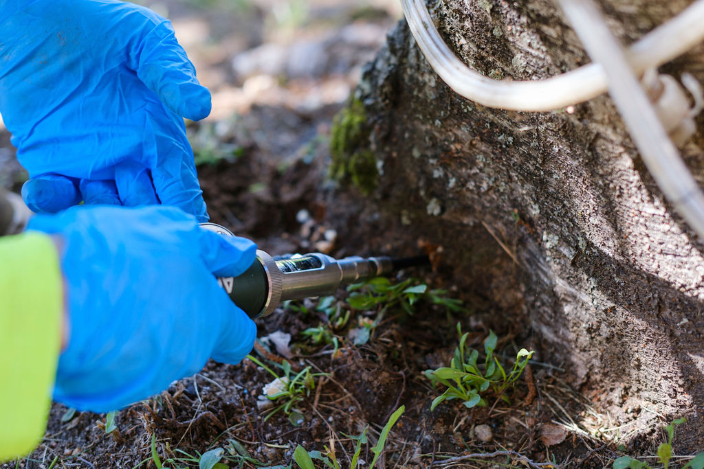 Upskilling Employees on Pruning Provides Valuable Education